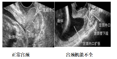 微信图片_20241101163146.png