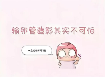 1764896808288299.png 微信图片_2025-12-05_090515_063.png